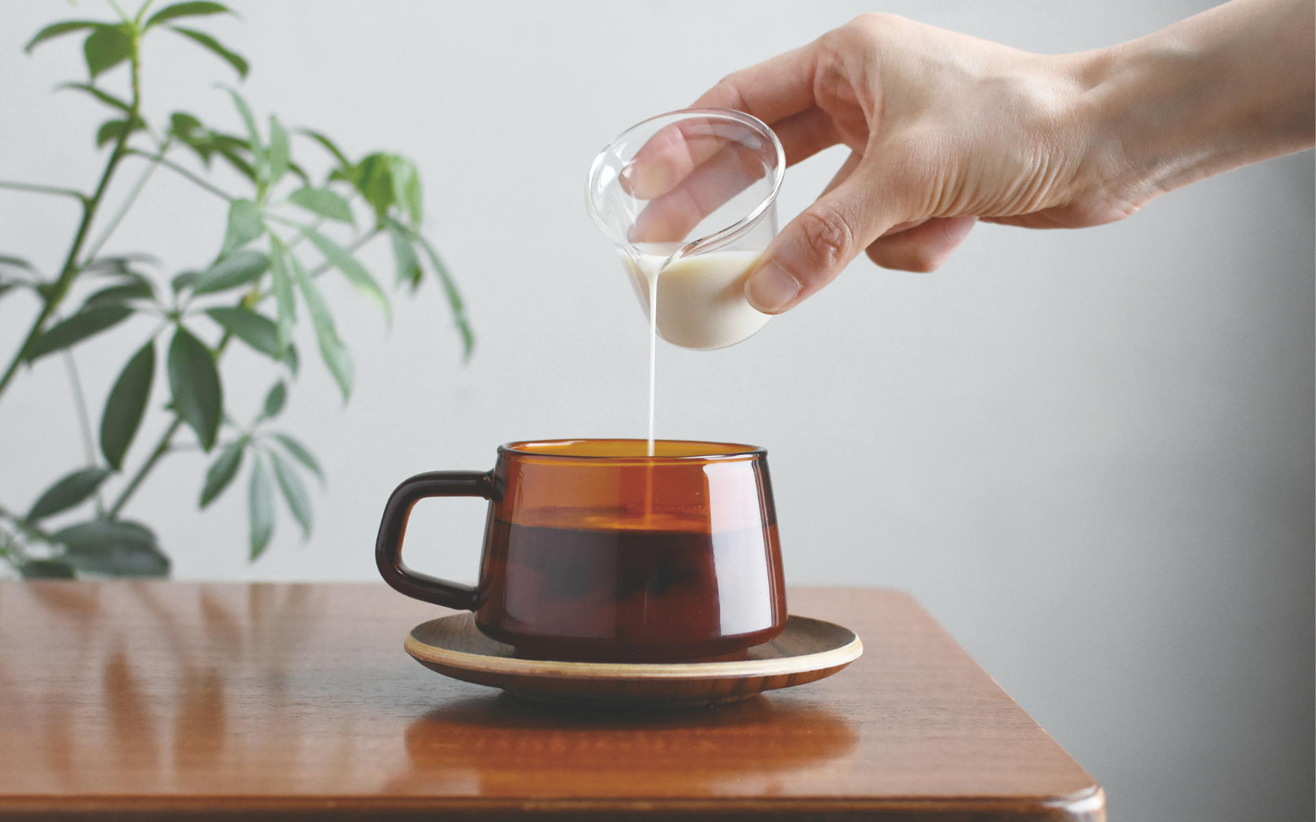 Kinto, vajillas y tazas de café Japonesas
