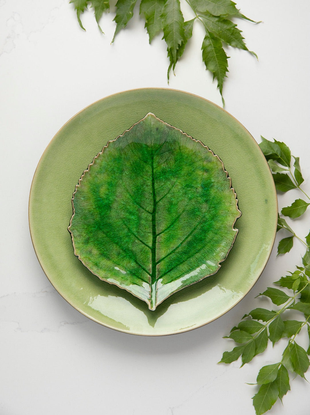 Assiette Plate Riviera Green
