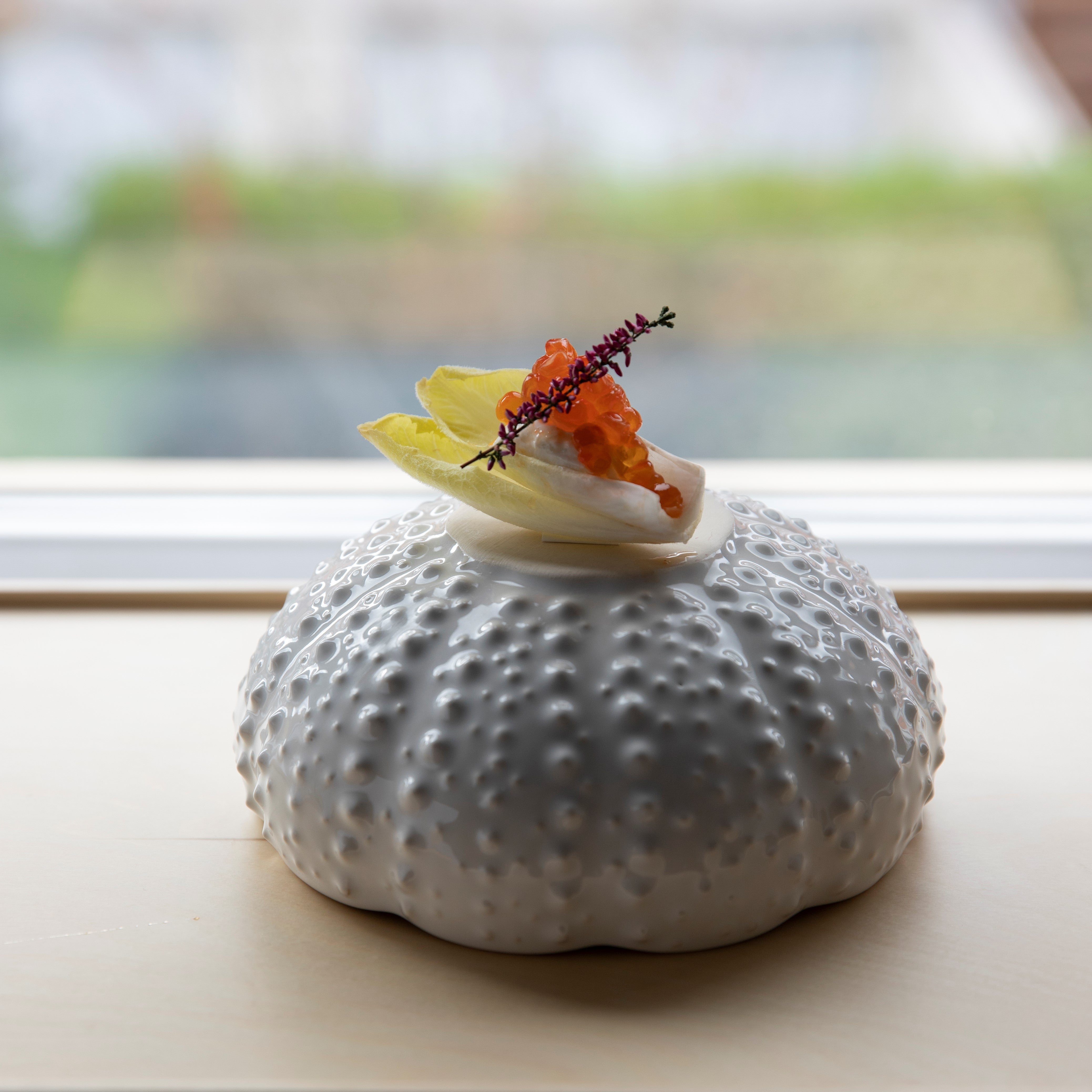 Saladier Sea Creatures 18 cm