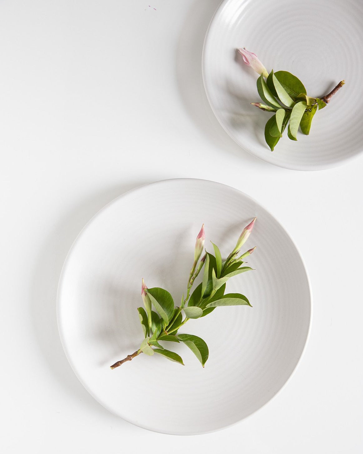 Pearl 12-teiliges Tafelset