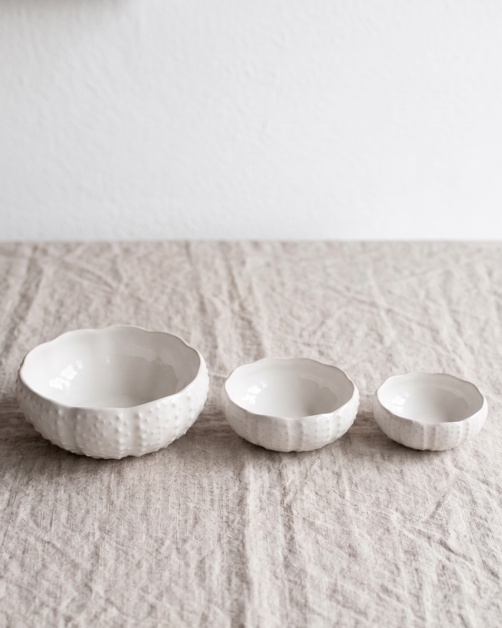 Set 3 Bols Oursin Sea Creatures