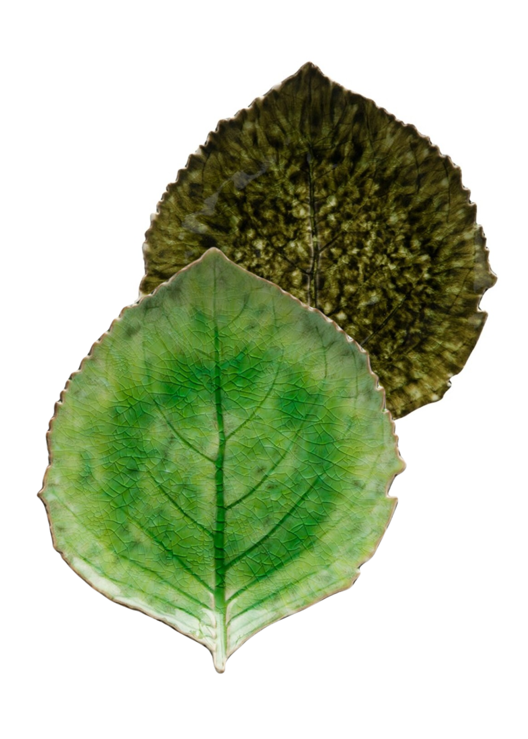 Riviera Green - Leaf salad plate