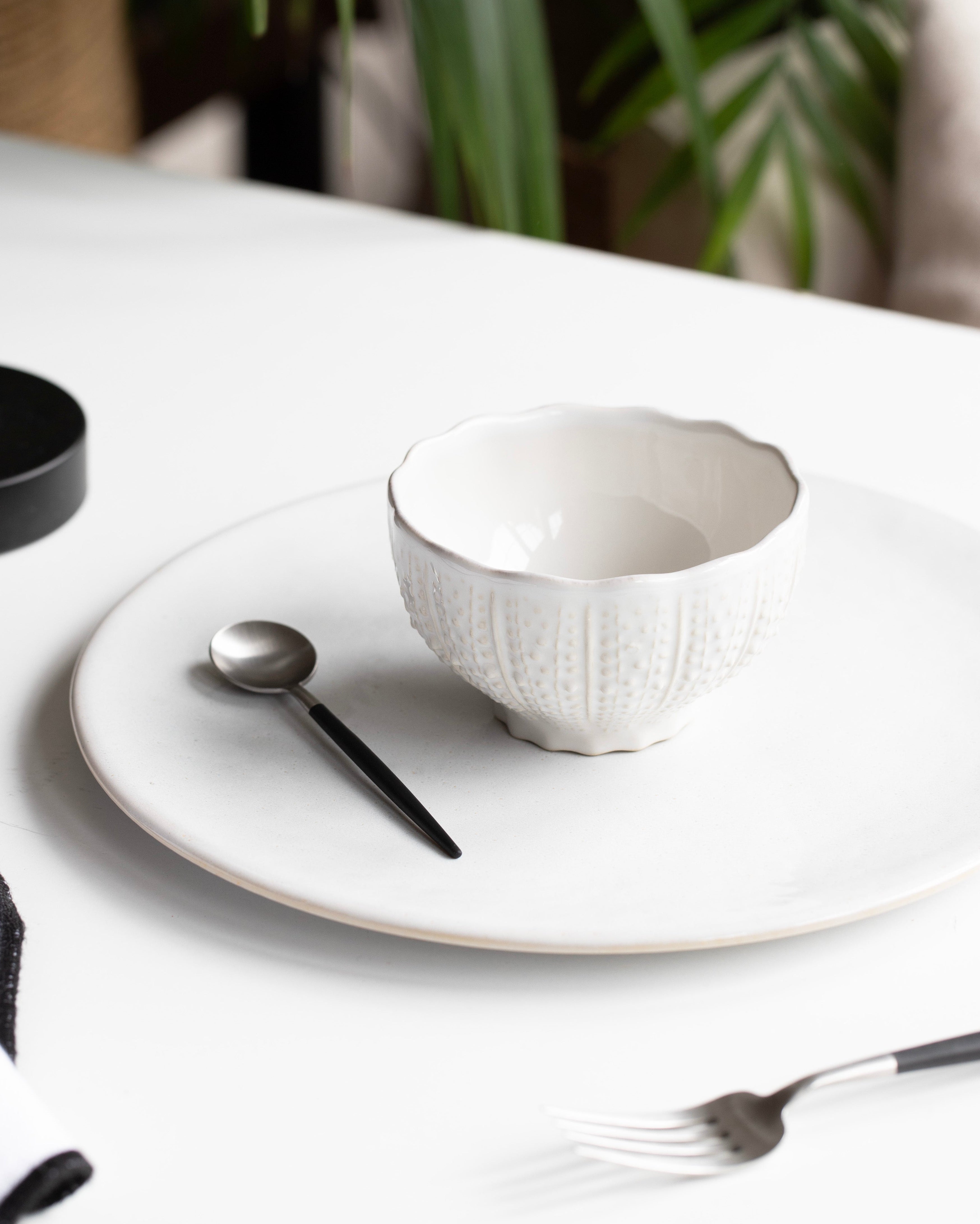 Mini Kom op voet Zeedieren