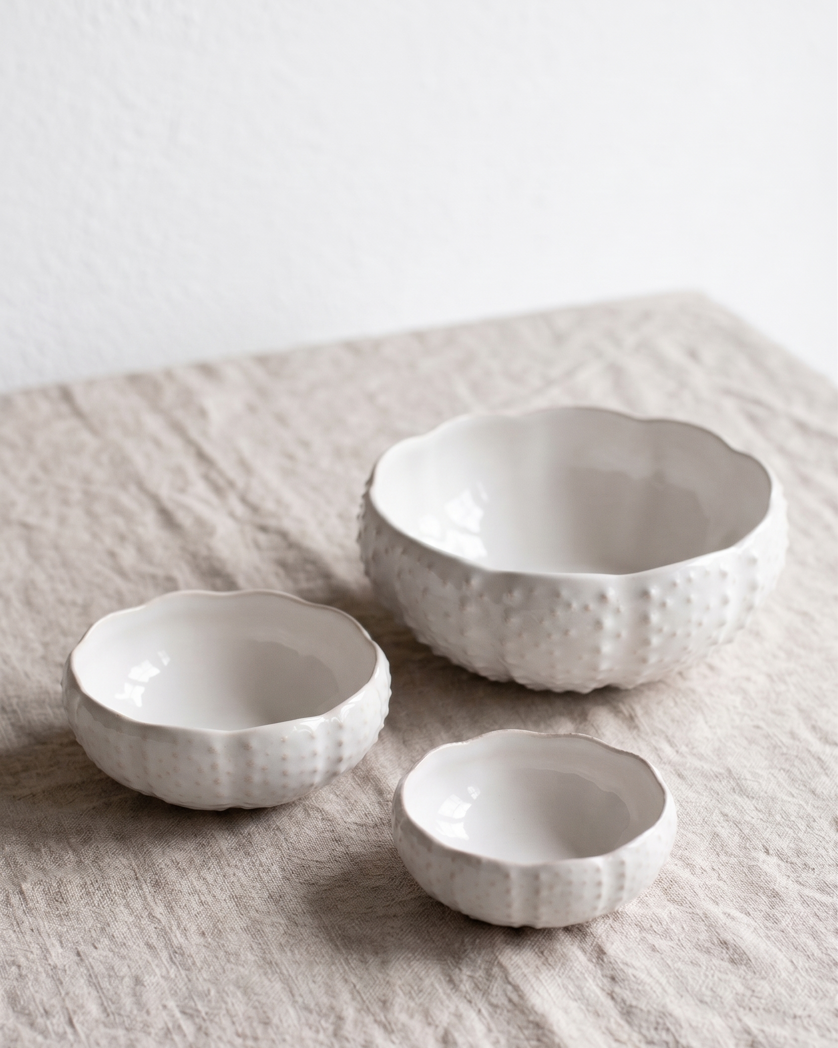 Set 3 Bols Oursin Sea Creatures