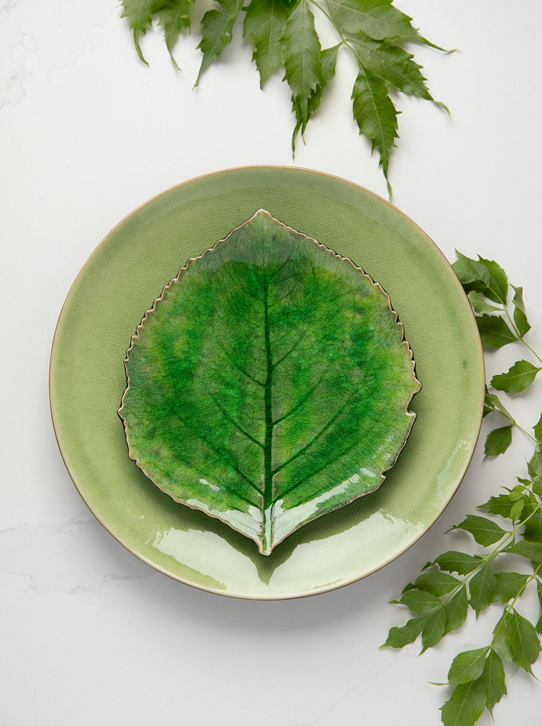 Riviera Green - Leaf salad plate